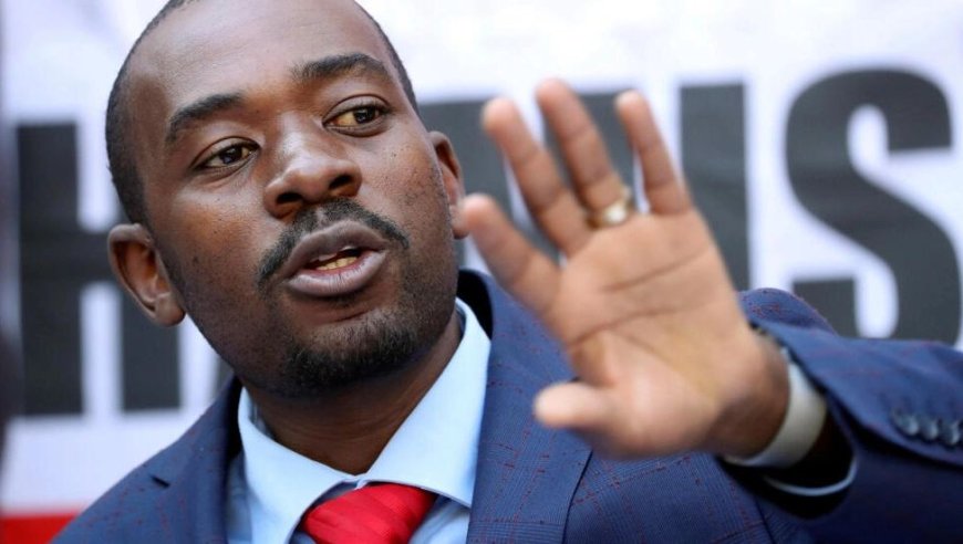 Amerika yamaganye gushaka kubogama kugamije kurwanya abatavuga rumwe n’ubutegetsi mu matora ya Zimbabwe.