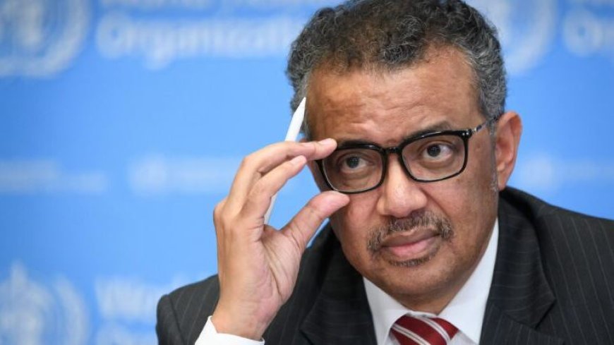 Israel-Hamas war: Gaza's Al Shifa hospital no longer functions as a hospital - Tedros